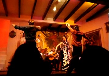 capture_flamenco.jpg